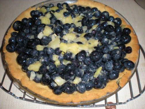 Blueberry Pineapple Piña Colada Pie Pie